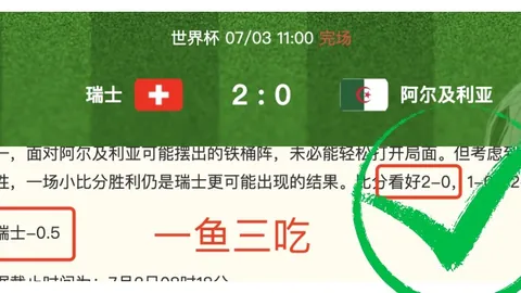 体育 103933